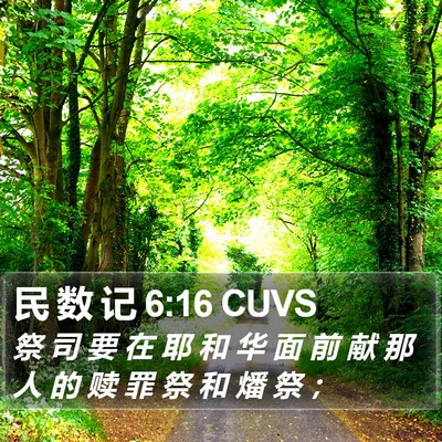 民 数 记 6:16 CUVS Bible Verse Image