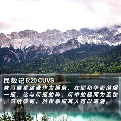 民 数 记 6:20 CUVS Bible Verse Image