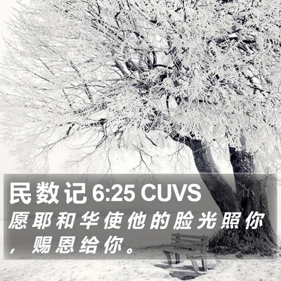 民 数 记 6:25 CUVS Bible Verse Image