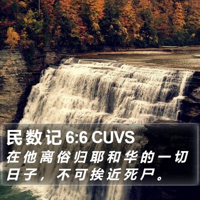 民 数 记 6:6 CUVS Bible Verse Image