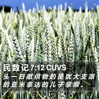民 数 记 7:12 CUVS Bible Verse Image