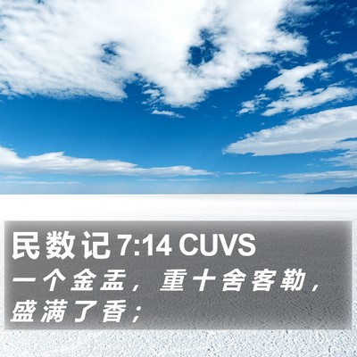 民 数 记 7:14 CUVS Bible Verse Image