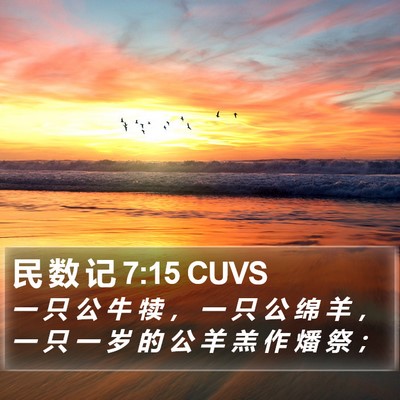 民 数 记 7:15 CUVS Bible Verse Image