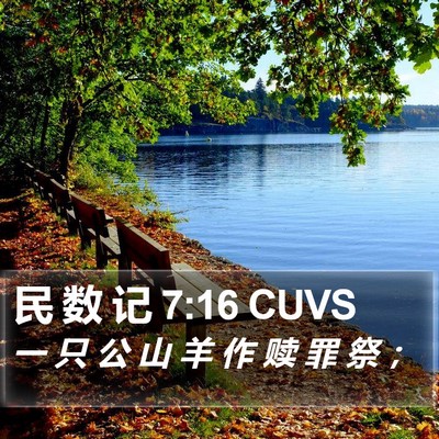 民 数 记 7:16 CUVS Bible Verse Image