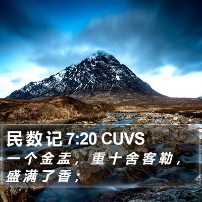 民 数 记 7:20 CUVS Bible Verse Image