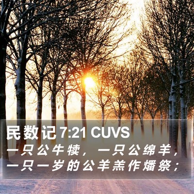 民 数 记 7:21 CUVS Bible Verse Image