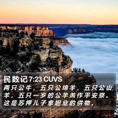 民 数 记 7:23 CUVS Bible Verse Image