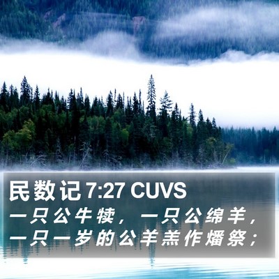 民 数 记 7:27 CUVS Bible Verse Image