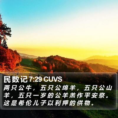 民 数 记 7:29 CUVS Bible Verse Image