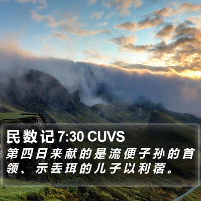 民 数 记 7:30 CUVS Bible Verse Image