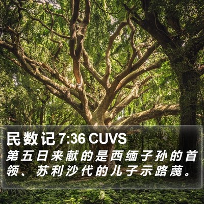 民 数 记 7:36 CUVS Bible Verse Image