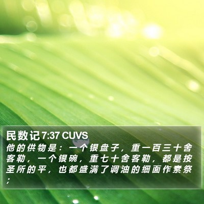 民 数 记 7:37 CUVS Bible Verse Image