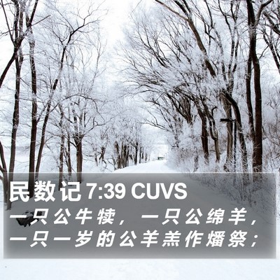 民 数 记 7:39 CUVS Bible Verse Image
