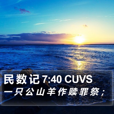 民 数 记 7:40 CUVS Bible Verse Image