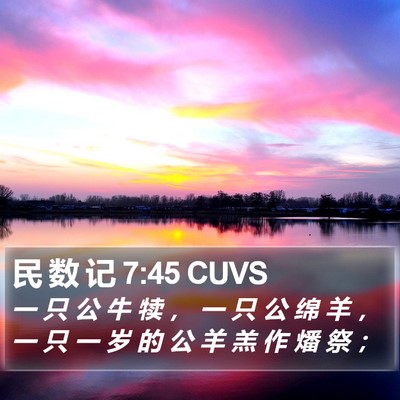 民 数 记 7:45 CUVS Bible Verse Image