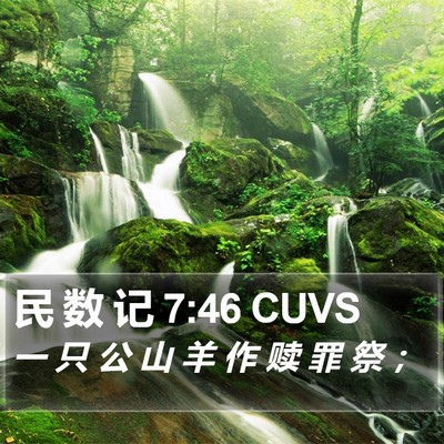 民 数 记 7:46 CUVS Bible Verse Image