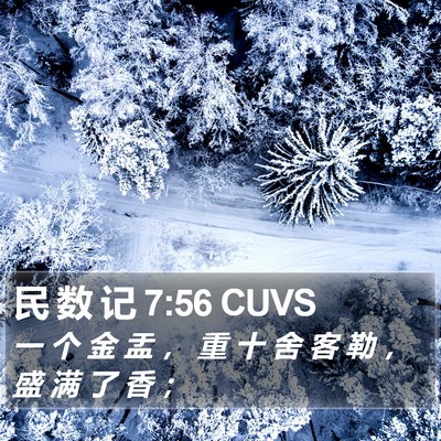 民 数 记 7:56 CUVS Bible Verse Image