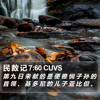 民 数 记 7:60 CUVS Bible Verse Image