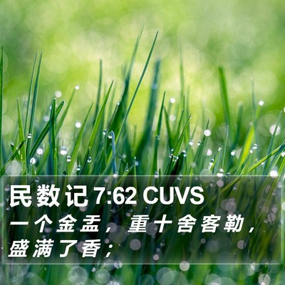 民 数 记 7:62 CUVS Bible Verse Image
