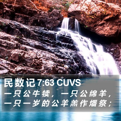 民 数 记 7:63 CUVS Bible Verse Image