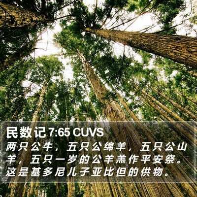 民 数 记 7:65 CUVS Bible Verse Image