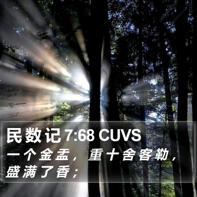 民 数 记 7:68 CUVS Bible Verse Image