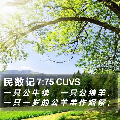 民 数 记 7:75 CUVS Bible Verse Image