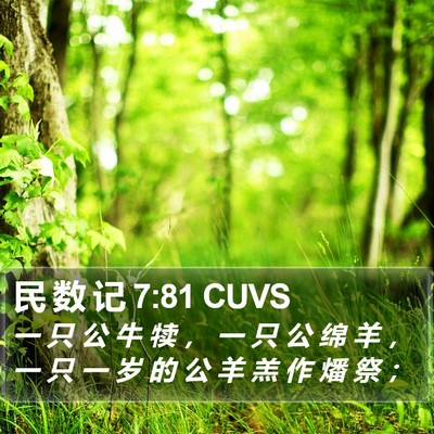 民 数 记 7:81 CUVS Bible Verse Image
