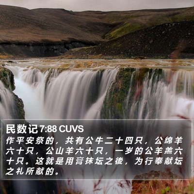 民 数 记 7:88 CUVS Bible Verse Image