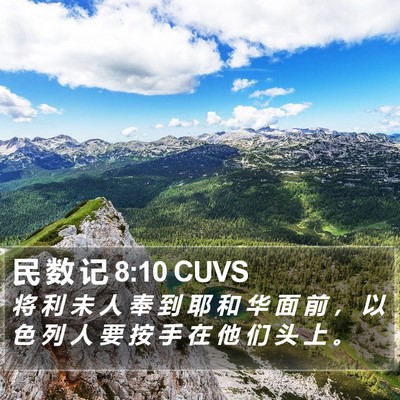 民 数 记 8:10 CUVS Bible Verse Image