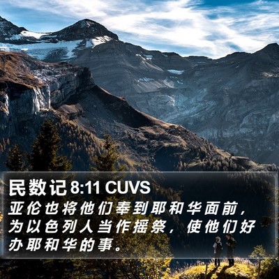 民 数 记 8:11 CUVS Bible Verse Image