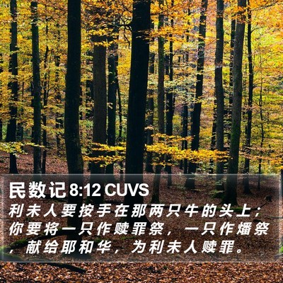 民 数 记 8:12 CUVS Bible Verse Image