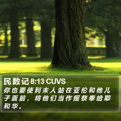 民 数 记 8:13 CUVS Bible Verse Image