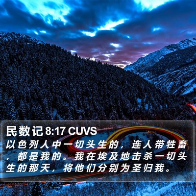 民 数 记 8:17 CUVS Bible Verse Image