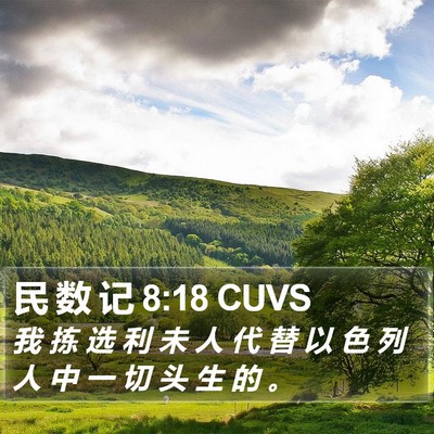 民 数 记 8:18 CUVS Bible Verse Image