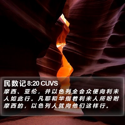 民 数 记 8:20 CUVS Bible Verse Image