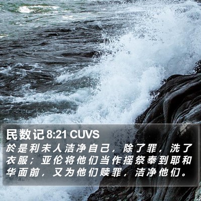 民 数 记 8:21 CUVS Bible Verse Image