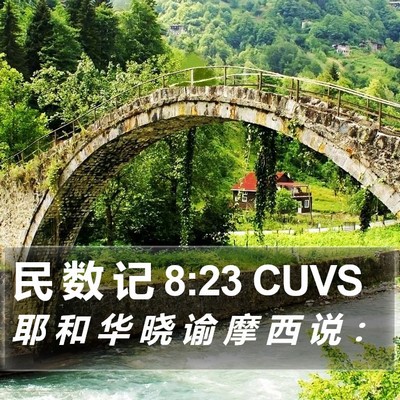民 数 记 8:23 CUVS Bible Verse Image