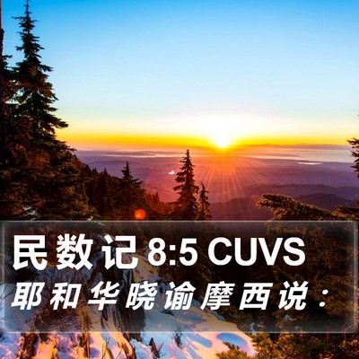 民 数 记 8:5 CUVS Bible Verse Image