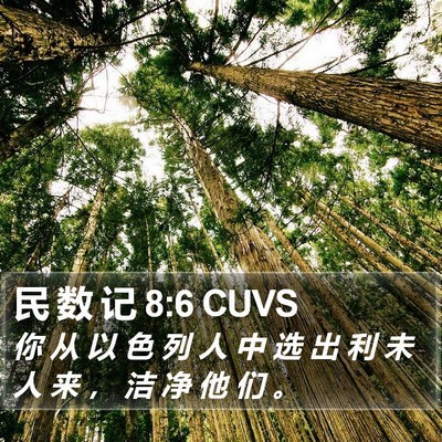 民 数 记 8:6 CUVS Bible Verse Image