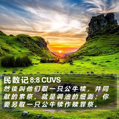 民 数 记 8:8 CUVS Bible Verse Image