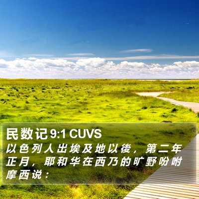 民 数 记 9:1 CUVS Bible Verse Image