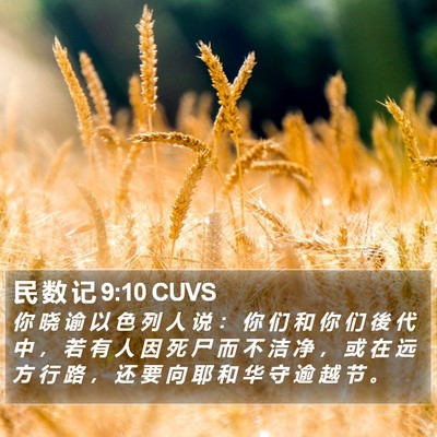 民 数 记 9:10 CUVS Bible Verse Image