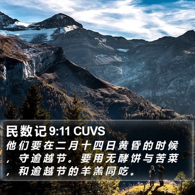 民 数 记 9:11 CUVS Bible Verse Image