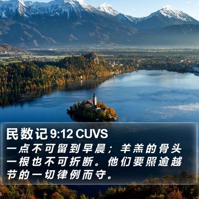 民 数 记 9:12 CUVS Bible Verse Image