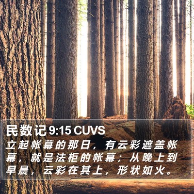 民 数 记 9:15 CUVS Bible Verse Image
