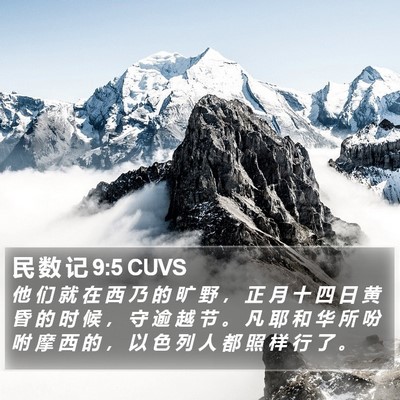 民 数 记 9:5 CUVS Bible Verse Image