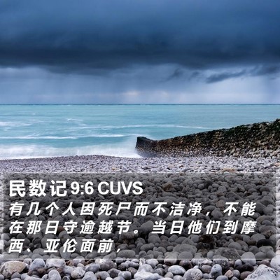 民 数 记 9:6 CUVS Bible Verse Image