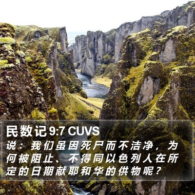 民 数 记 9:7 CUVS Bible Verse Image