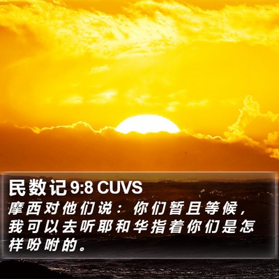 民 数 记 9:8 CUVS Bible Verse Image